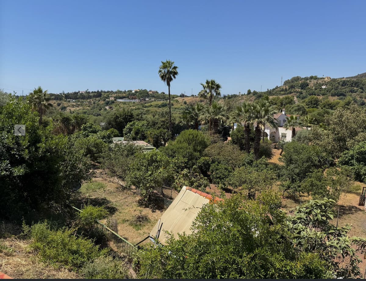 Cortijo in Estepona — photo 3 of 10