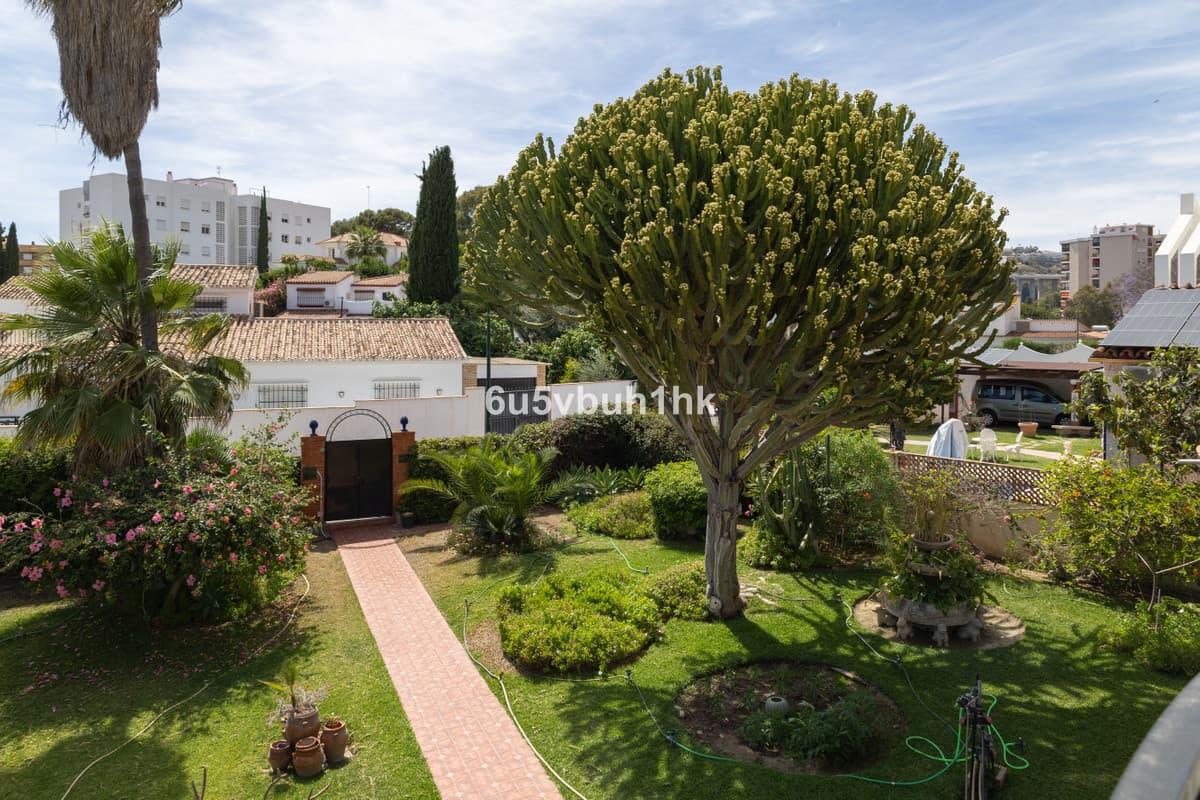 Townhouse in Málaga — photo 4 of 10