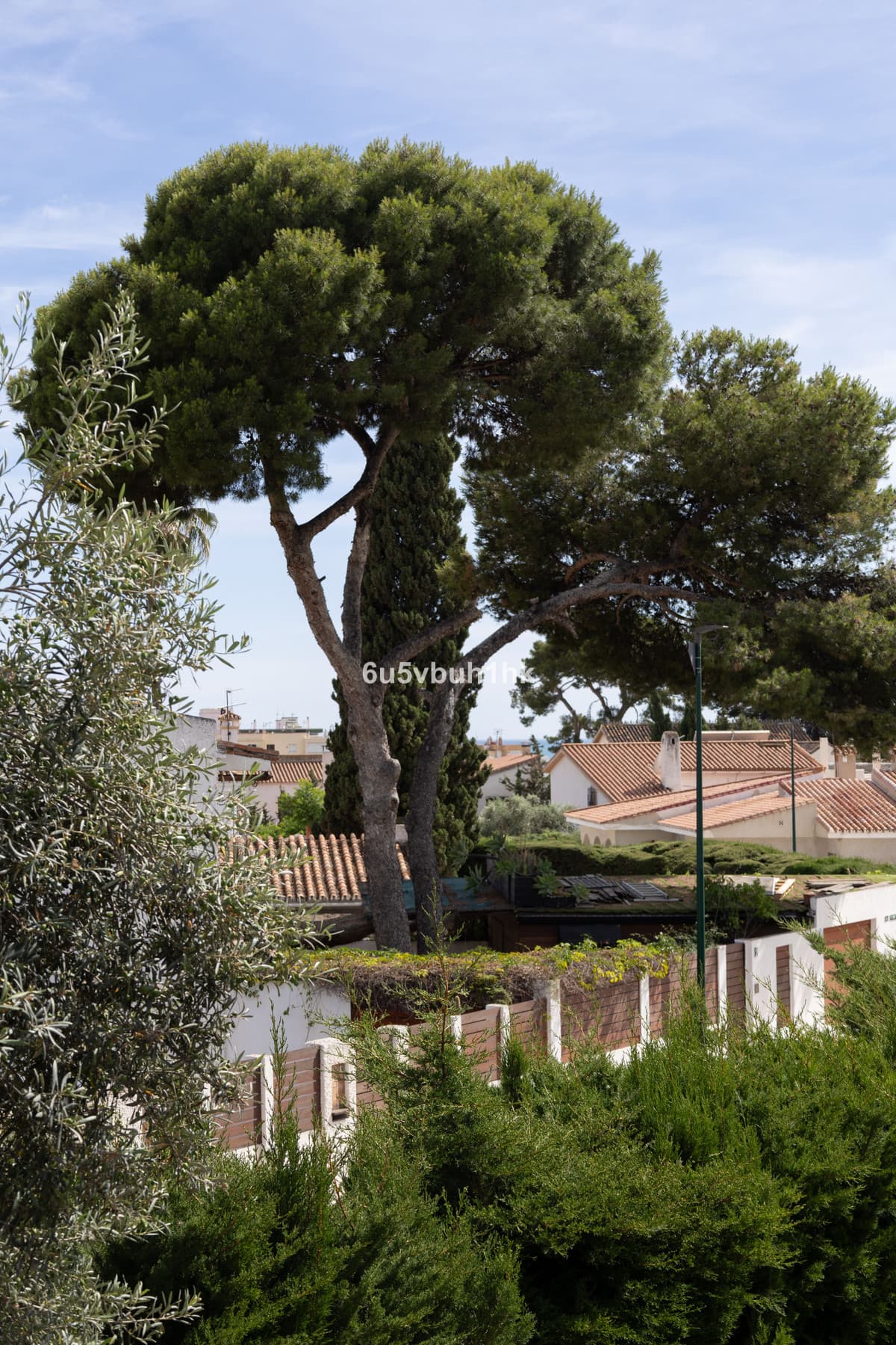Townhouse in Málaga — photo 5 of 10
