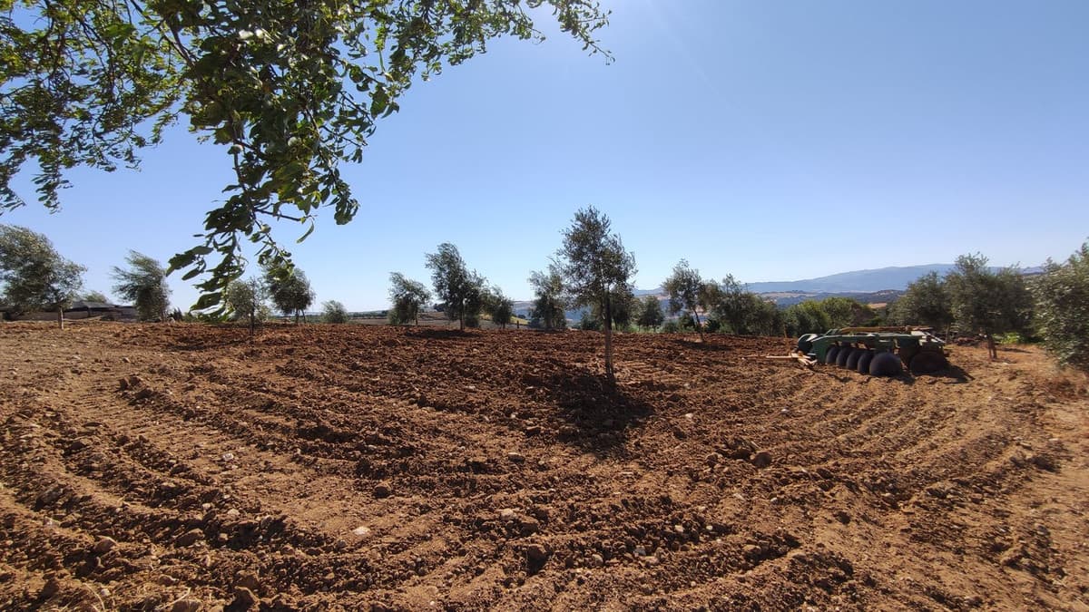 Cortijo in Ronda — photo 8 of 10