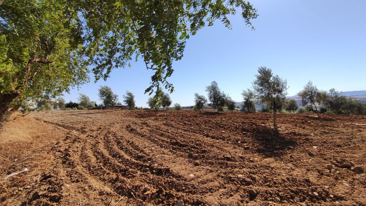 Cortijo in Ronda — photo 9 of 10