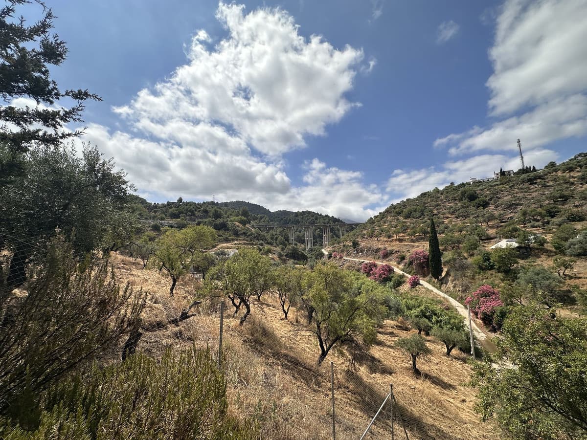 Cortijo in Monda — photo 10 of 10