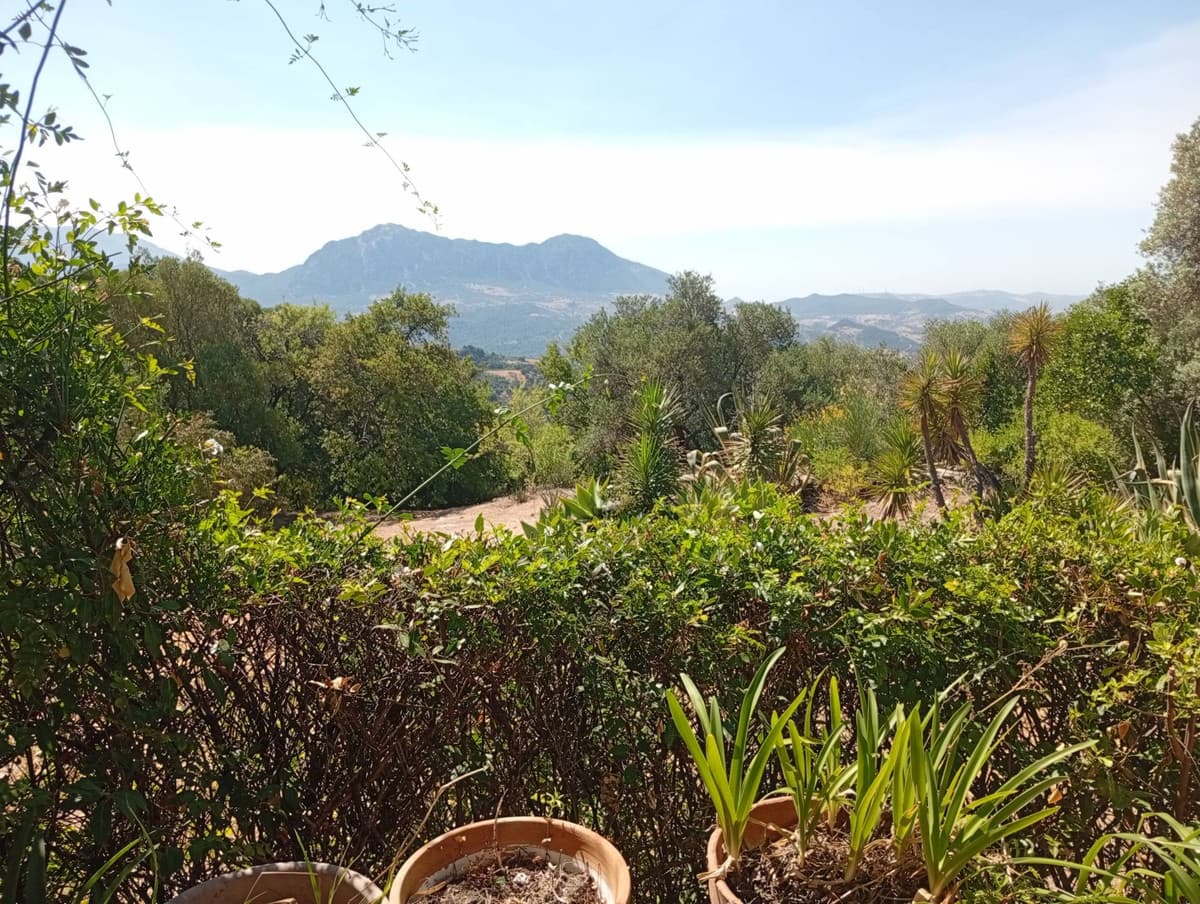 Cortijo in Gaucín — photo 5 of 10