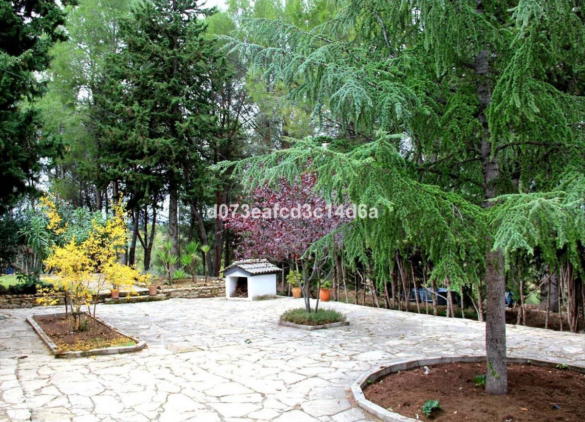 Detached Villa in Ronda — photo 6 of 10