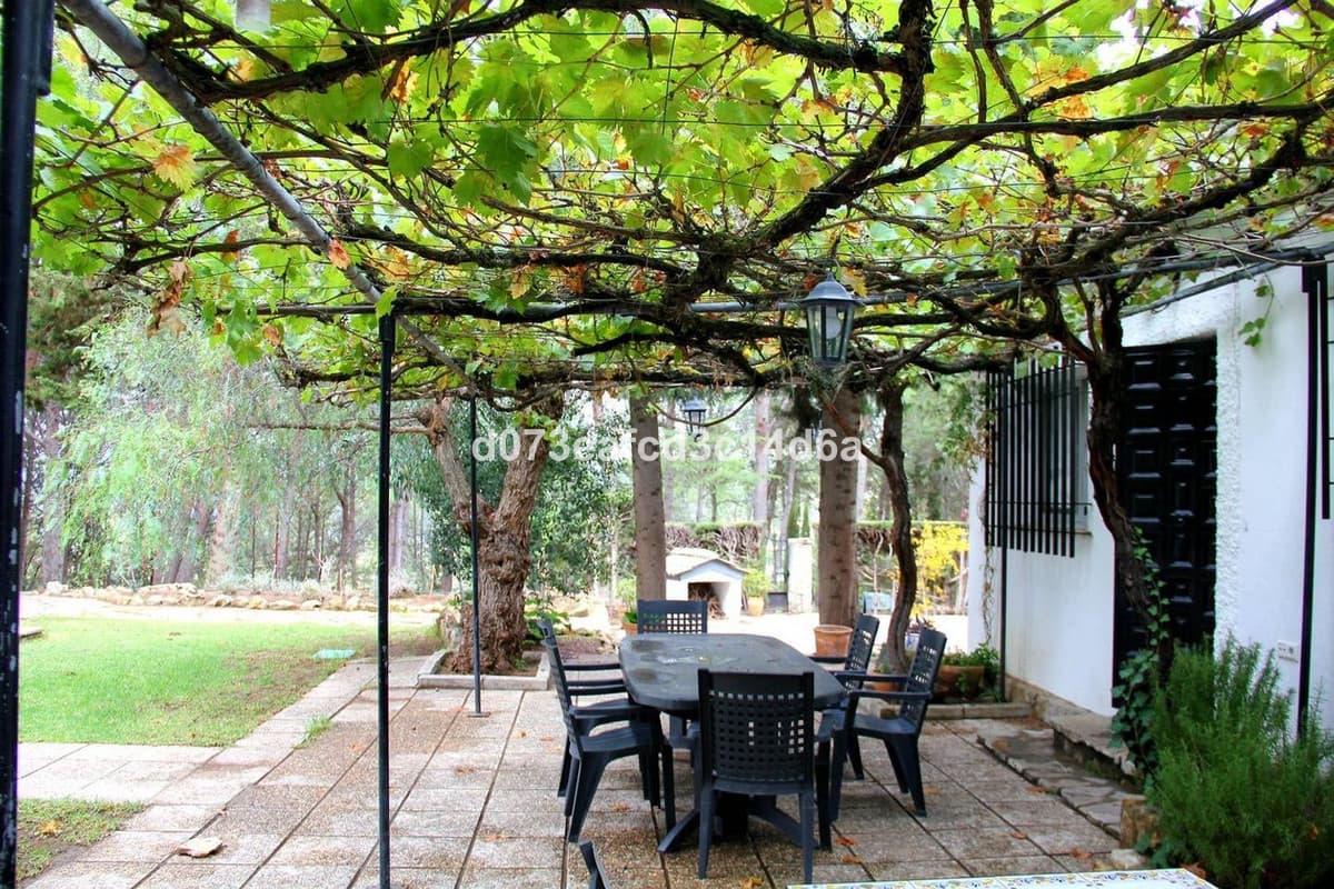 Detached Villa in Ronda — photo 7 of 10