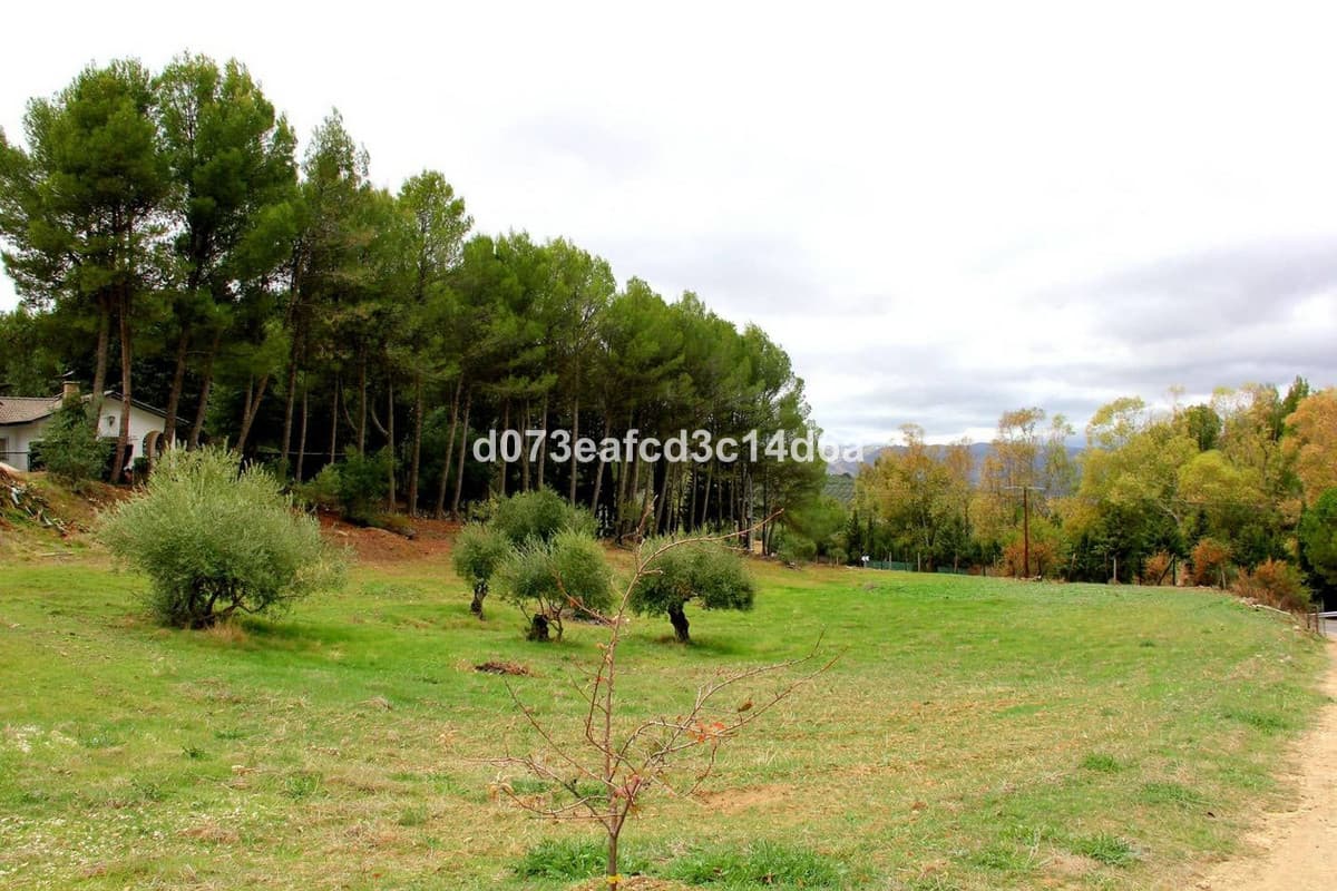 Detached Villa in Ronda — photo 9 of 10