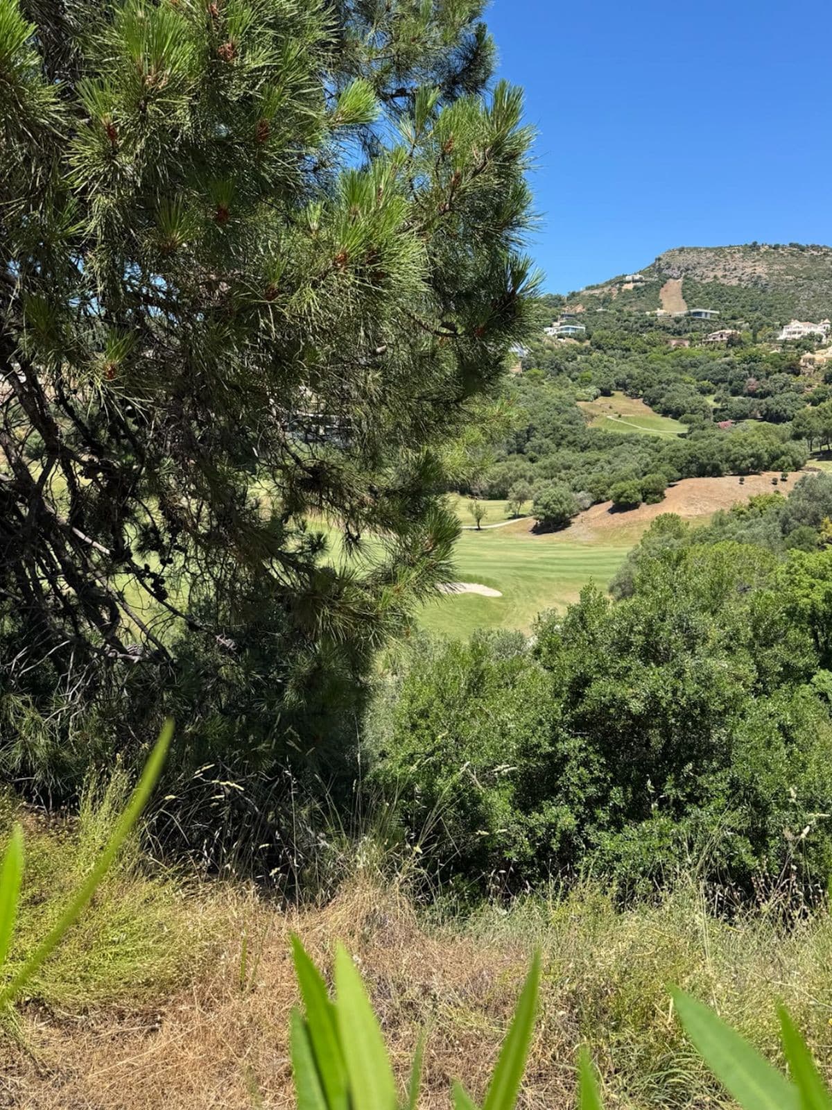 Residential Plot in Benahavís — photo 7 of 10