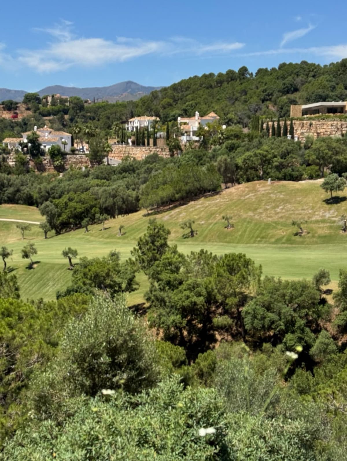 Residential Plot in Benahavís — photo 9 of 10