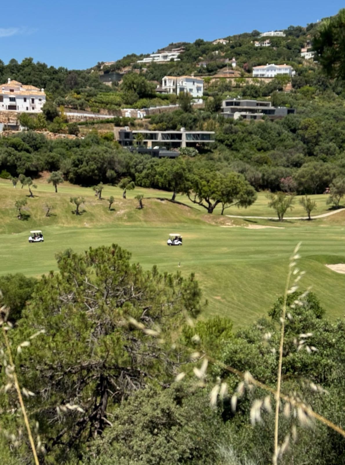Residential Plot in Benahavís — photo 10 of 10