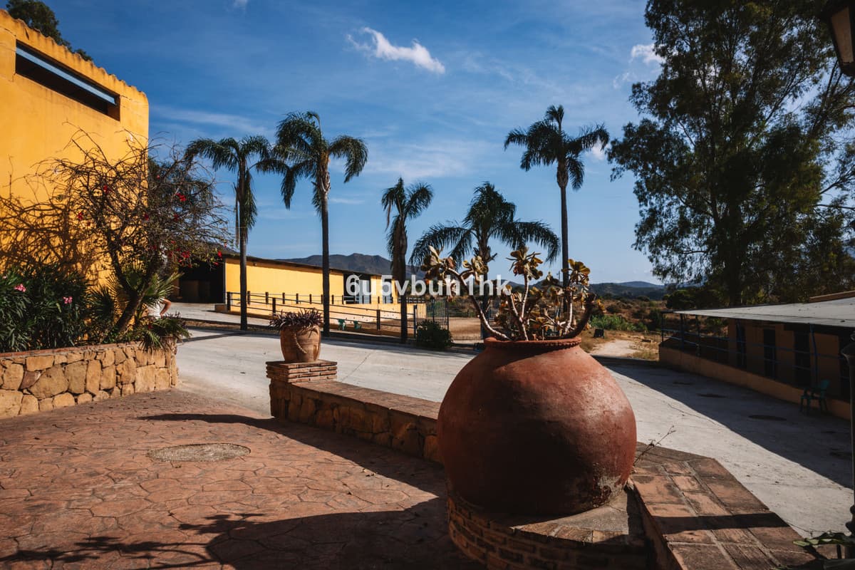 Cortijo in Entrerrios — photo 2 of 10