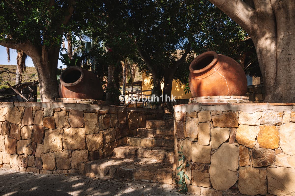 Cortijo in Entrerrios — photo 3 of 10