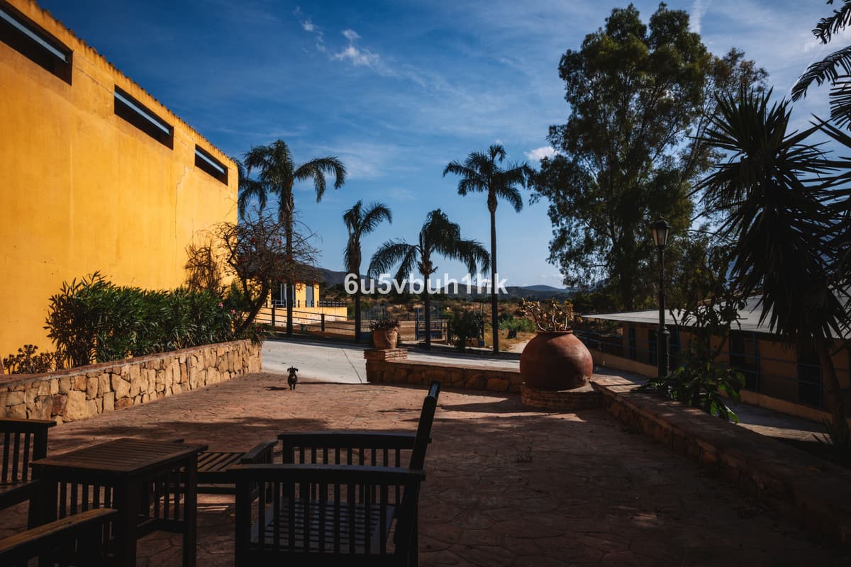 Cortijo in Entrerrios — photo 5 of 10