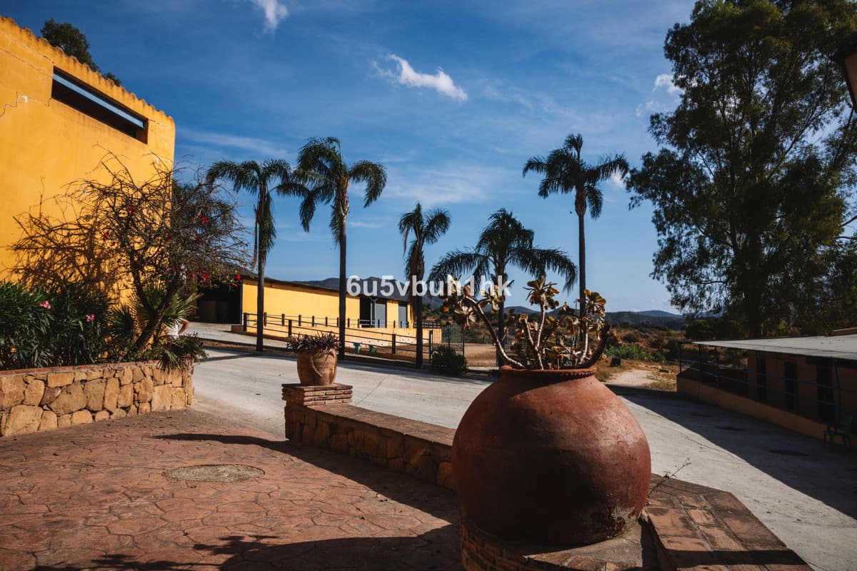 Cortijo in Entrerrios — photo 6 of 10