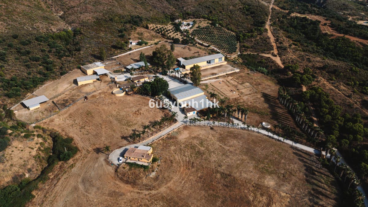Cortijo in Entrerrios — photo 8 of 10