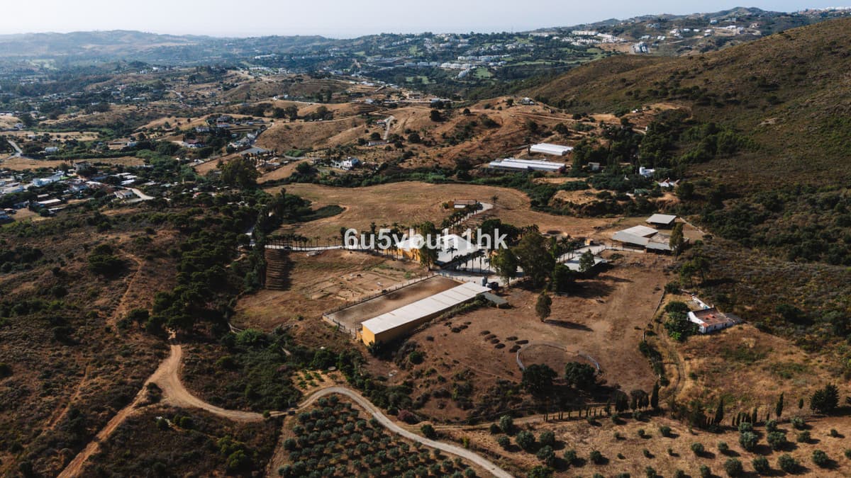 Cortijo in Entrerrios — photo 9 of 10
