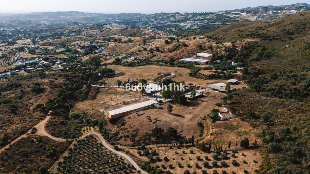 Cortijo in Entrerrios — photo 10 of 10