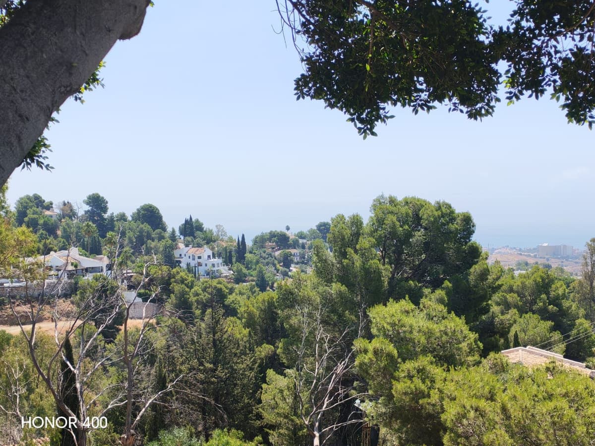 Detached Villa in Mijas — photo 6 of 10