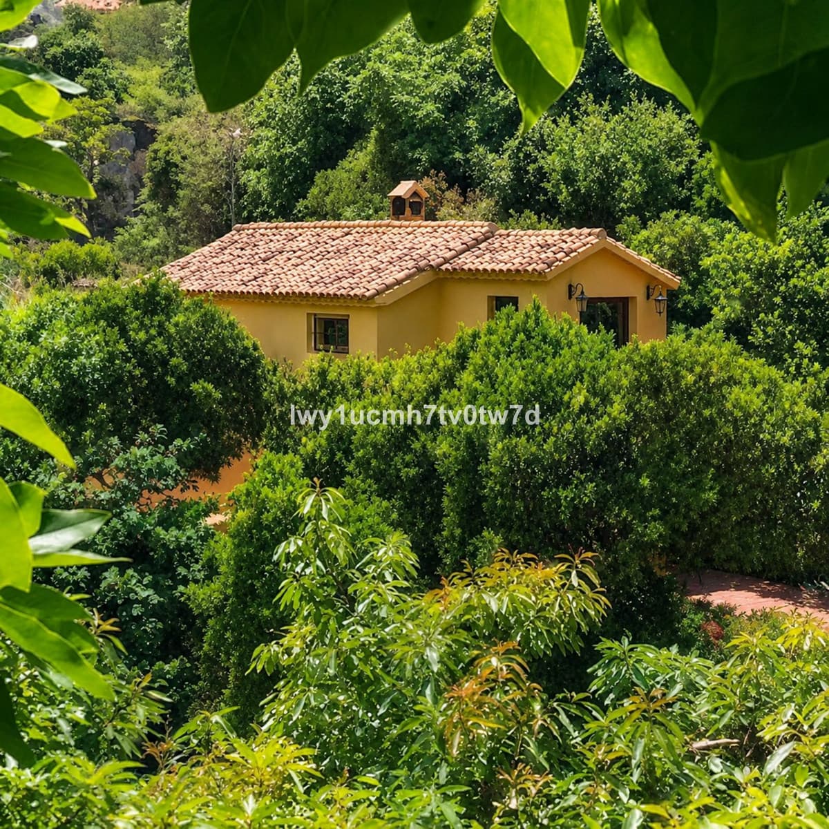 Detached Villa in Ojén — photo 9 of 10