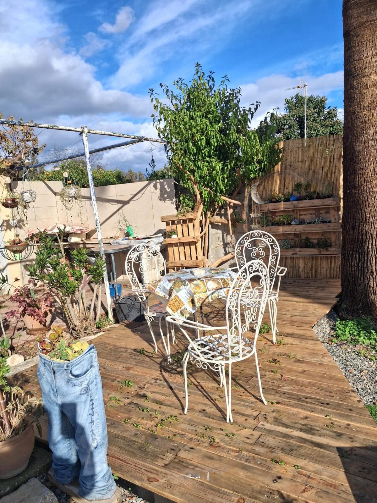 Cortijo in Coín — photo 2 of 10