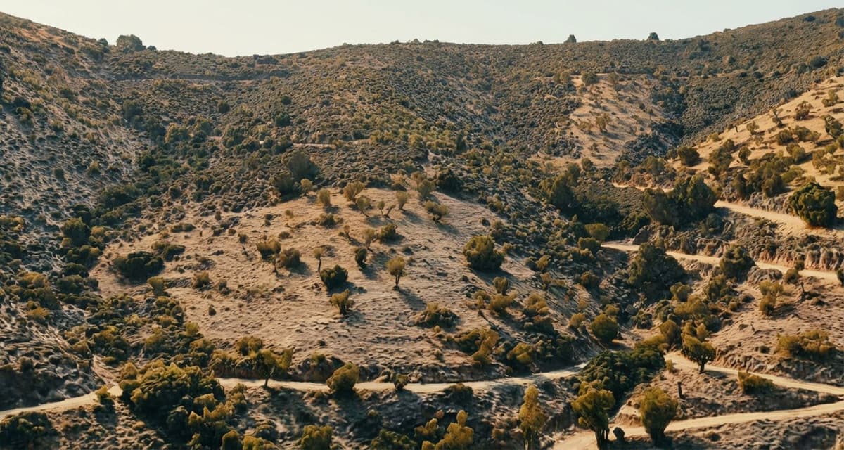Land in Montes de Málaga — photo 5 of 10