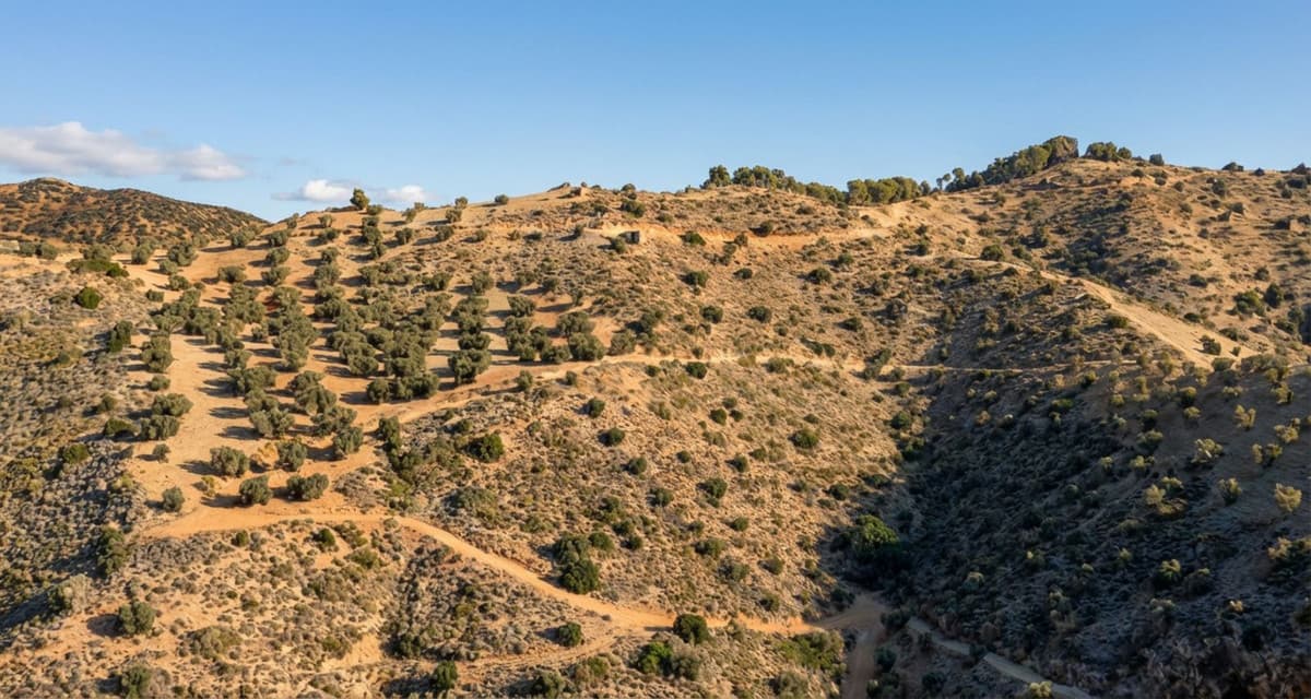 Land in Montes de Málaga — photo 7 of 10