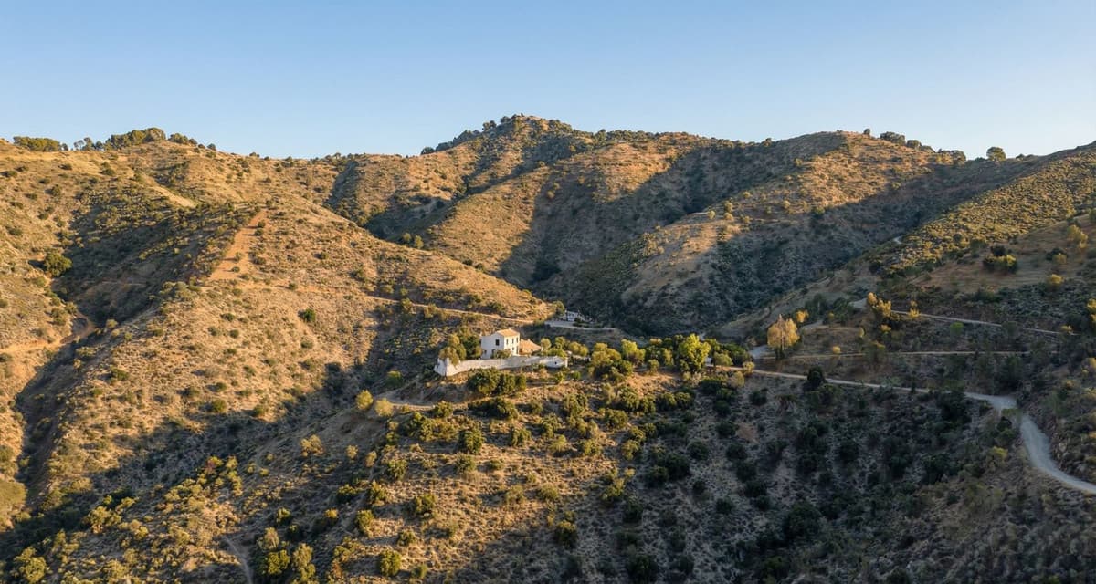 Land in Montes de Málaga — photo 8 of 10