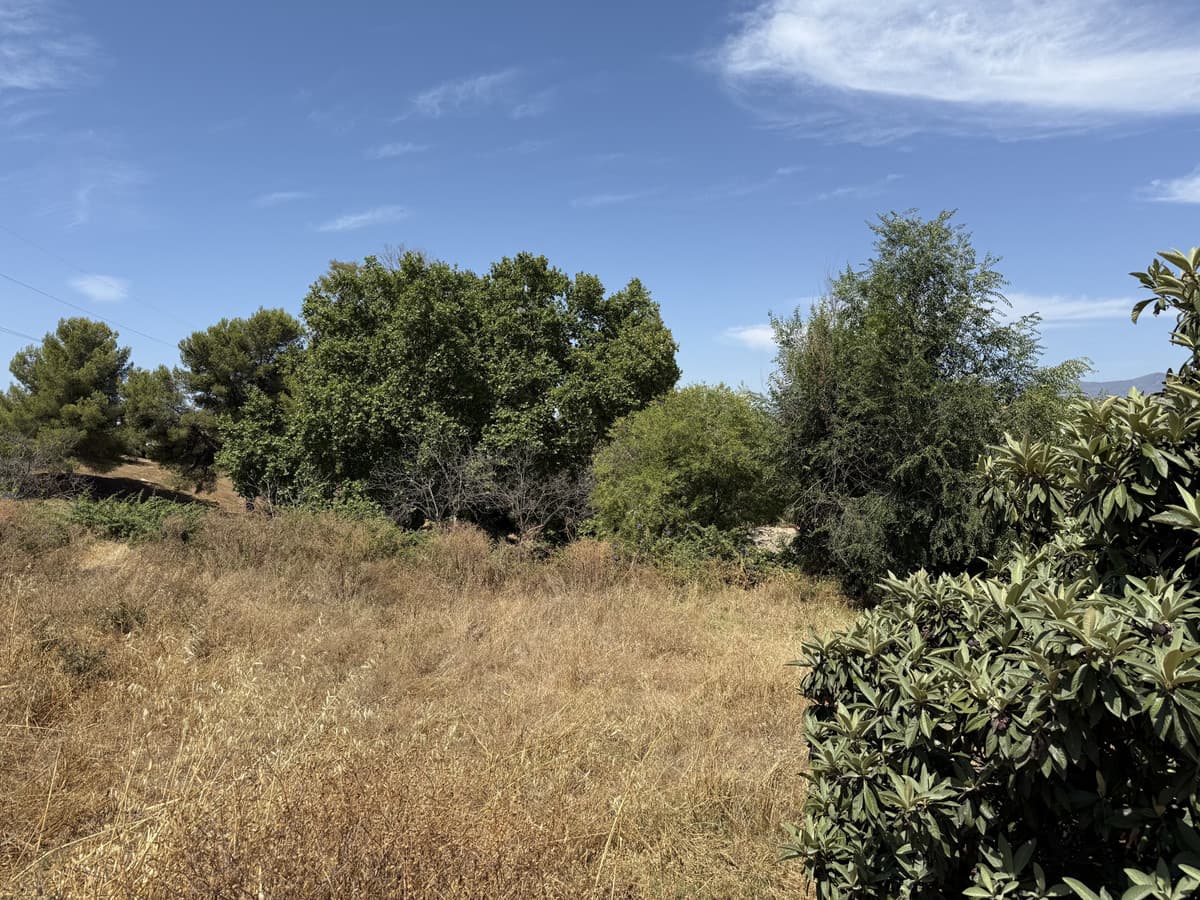 Residential Plot in San Pedro de Alcántara — photo 6 of 9