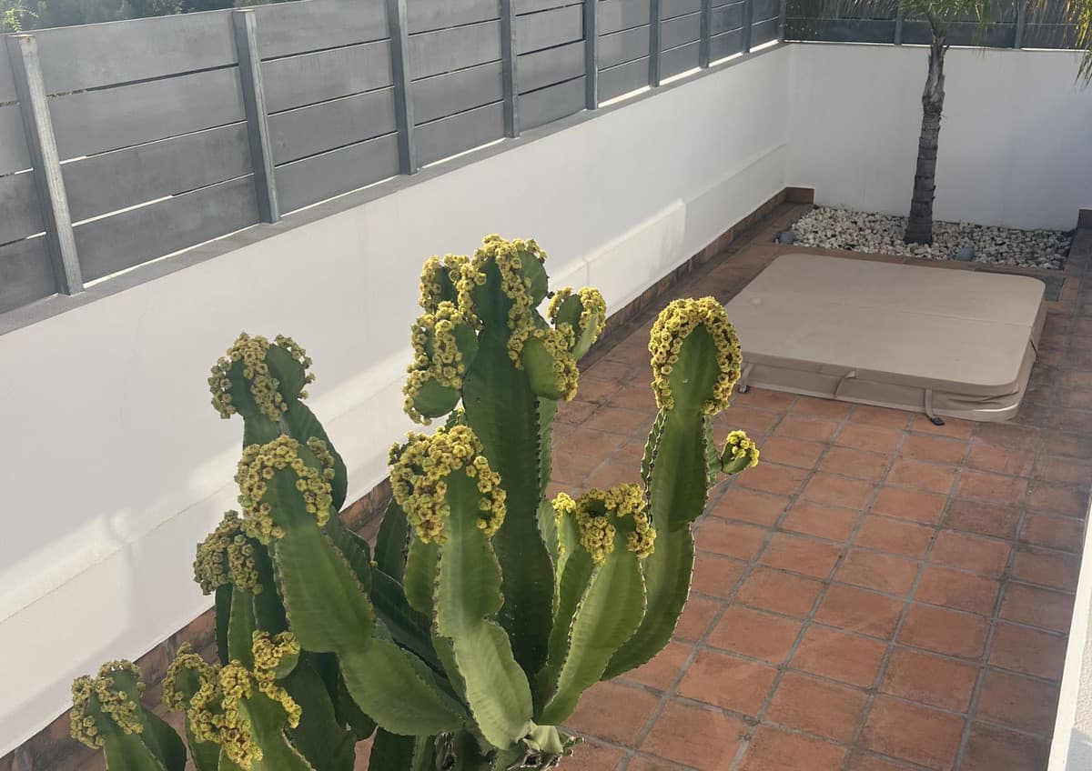 Ground Floor Apartment in Estepona — photo 6 of 10