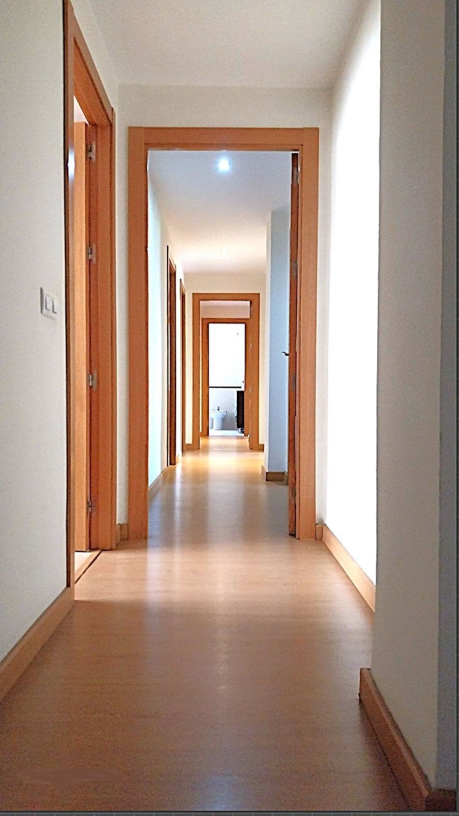 Middle Floor Apartment in Malagueta — photo 8 of 10