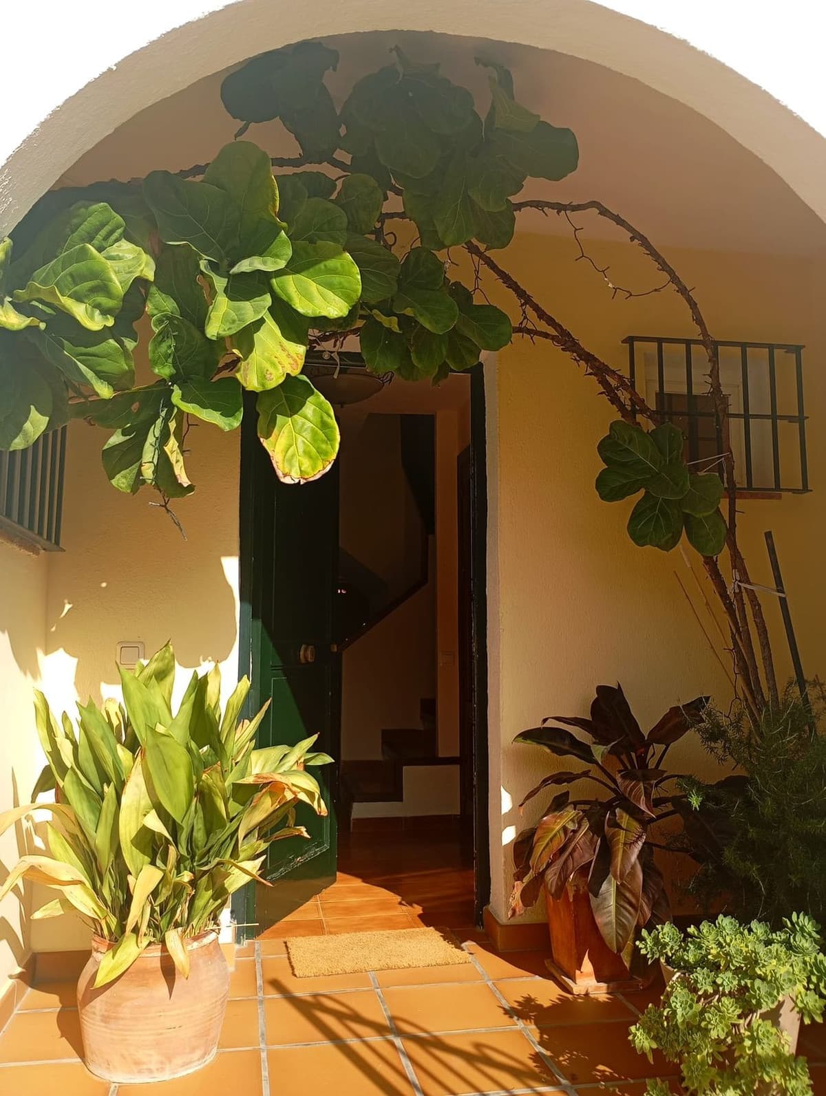 Semi-Detached House in Casares Playa — photo 4 of 10