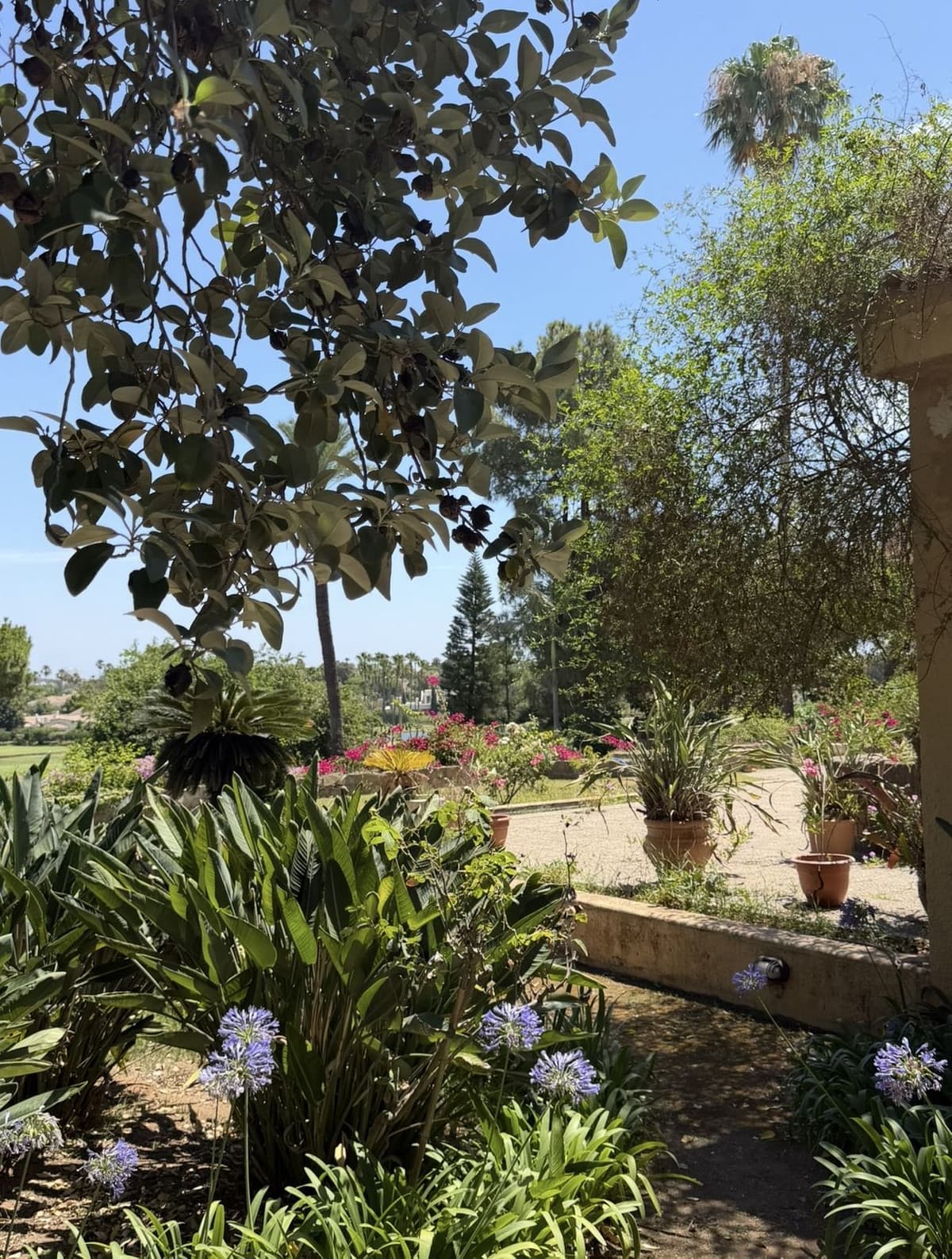 Detached Villa in Sotogrande Costa — photo 4 of 10