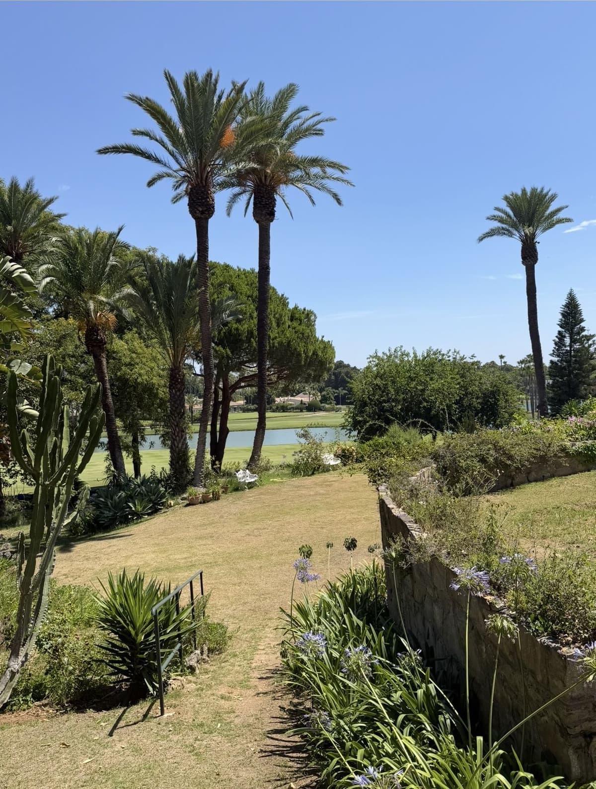 Detached Villa in Sotogrande Costa — photo 5 of 10