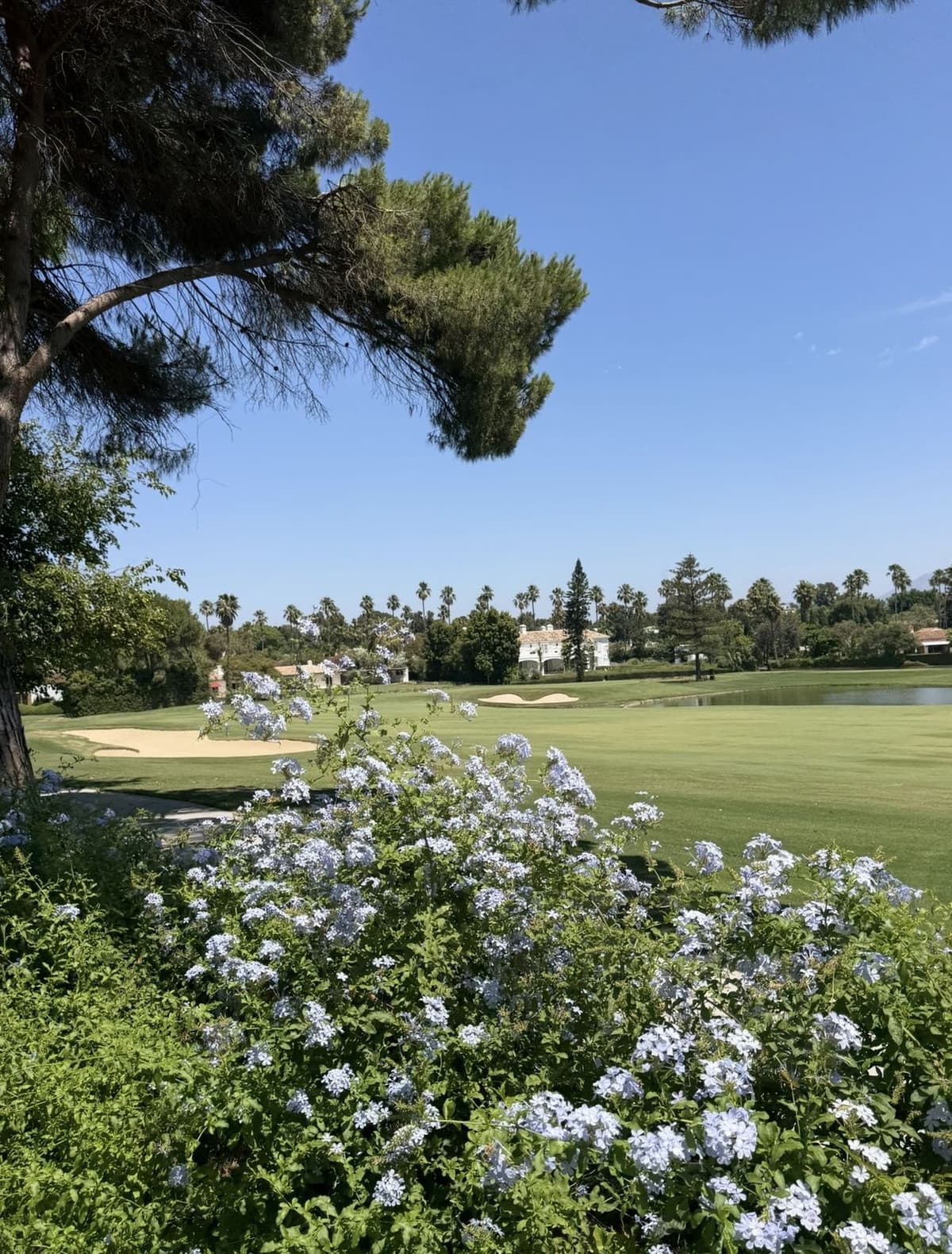 Detached Villa in Sotogrande Costa — photo 9 of 10