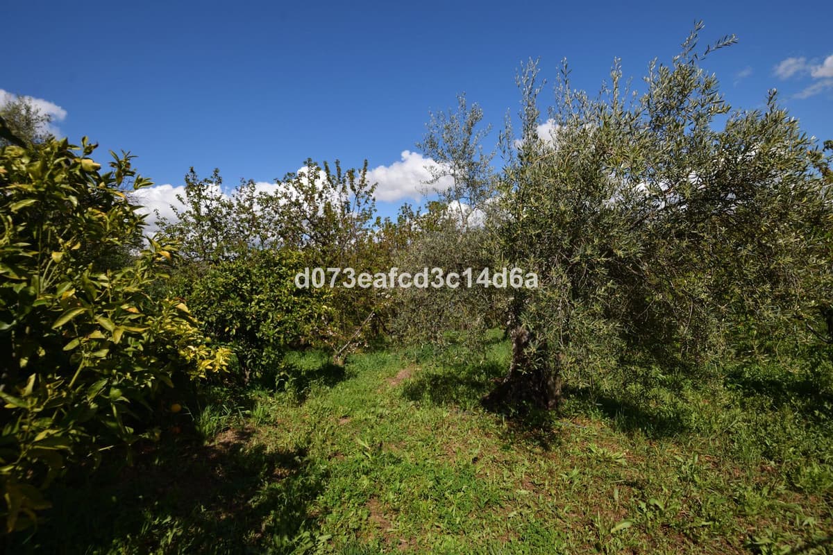 Cortijo in Cartajima — photo 2 of 10