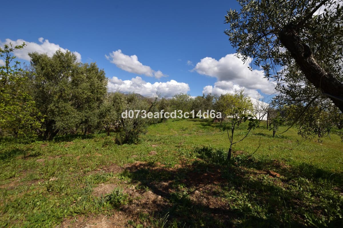 Cortijo in Cartajima — photo 3 of 10