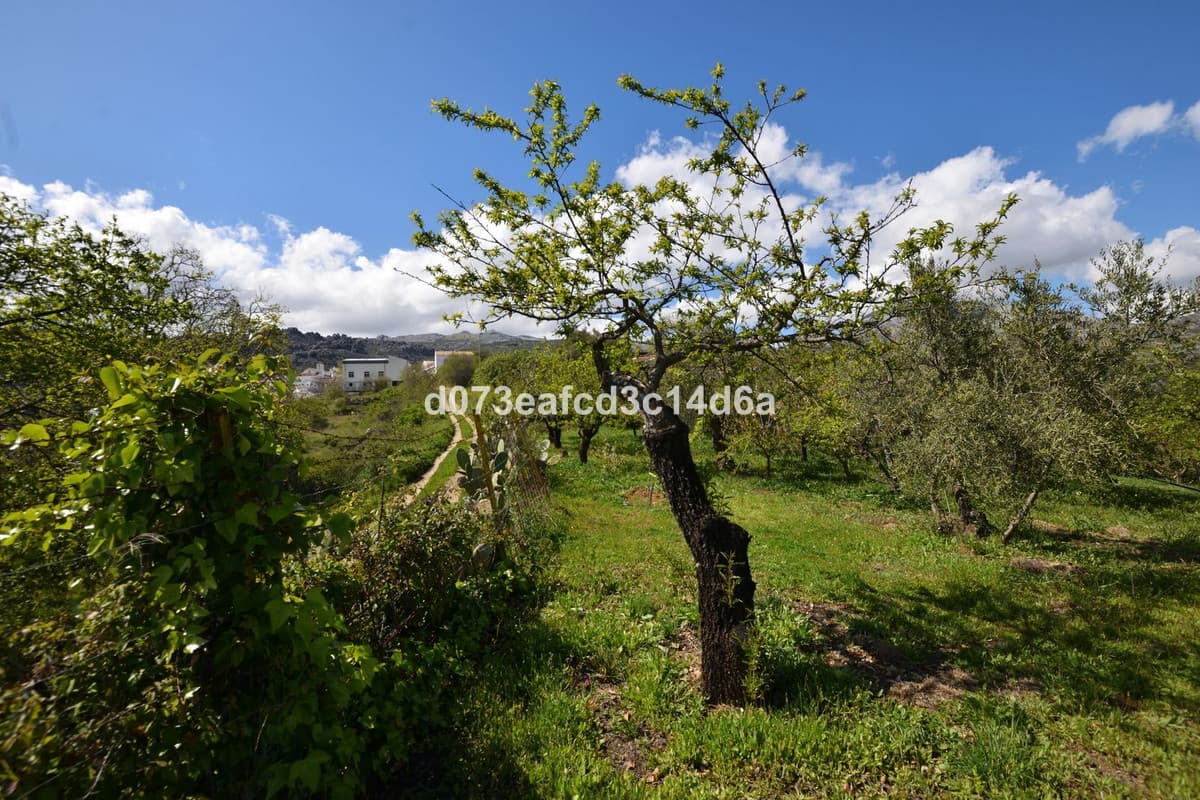 Cortijo in Cartajima — photo 4 of 10