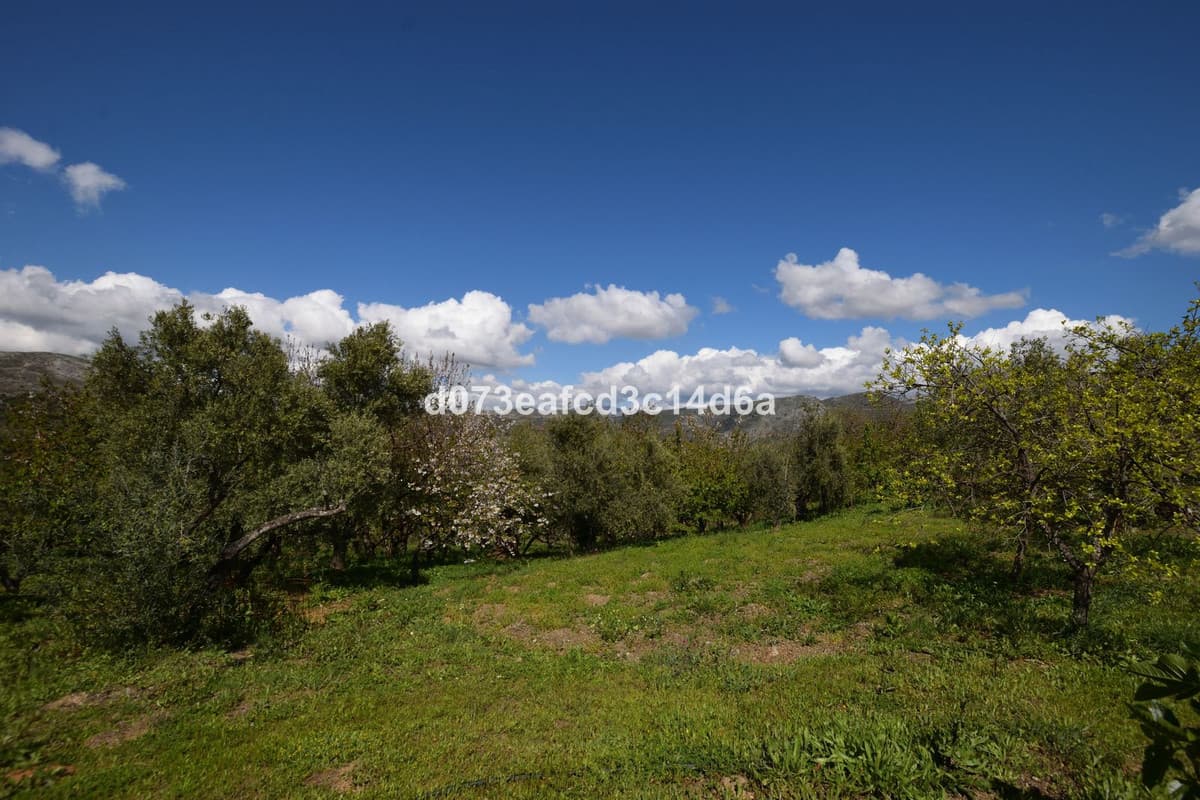 Cortijo in Cartajima — photo 5 of 10