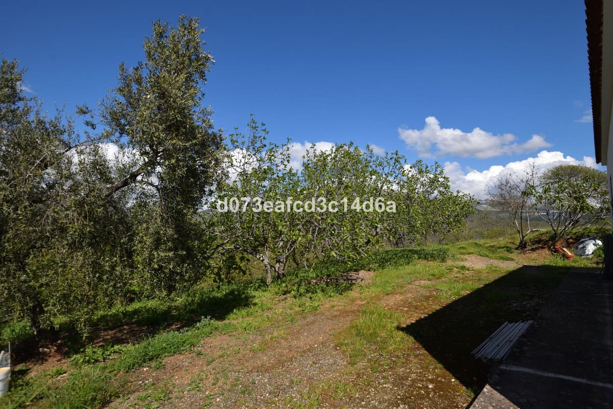 Cortijo in Cartajima — photo 6 of 10