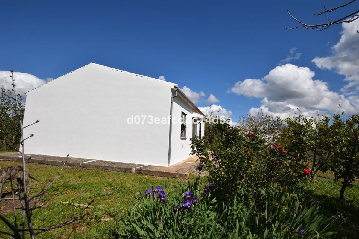 Cortijo in Cartajima — photo 7 of 10