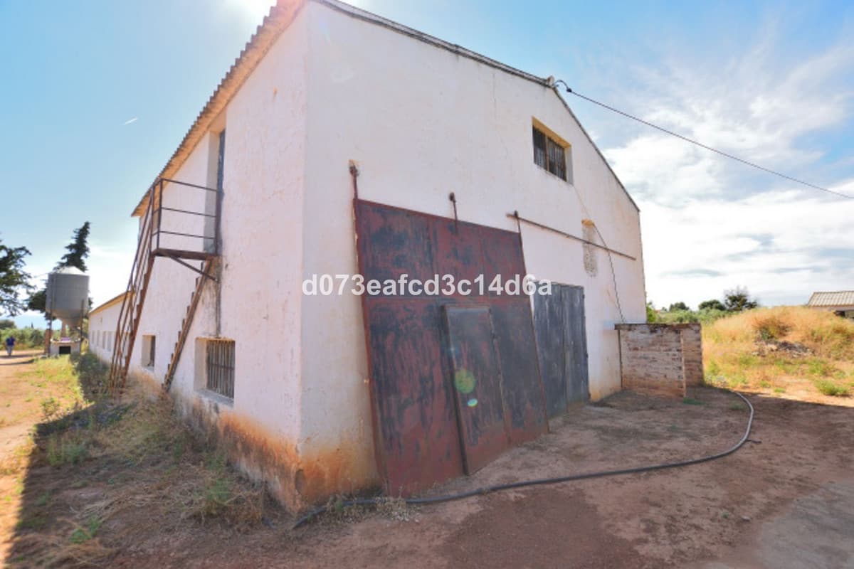 Cortijo in Ronda — photo 5 of 10