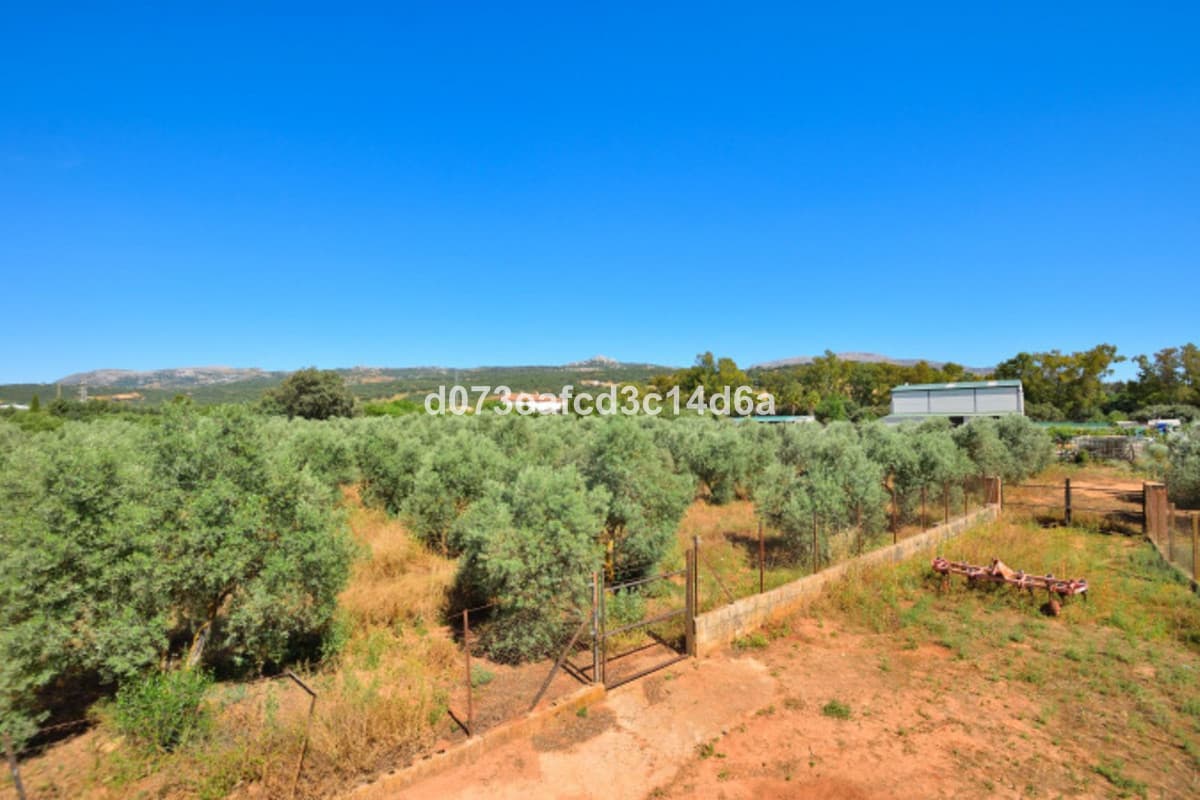 Cortijo in Ronda — photo 10 of 10