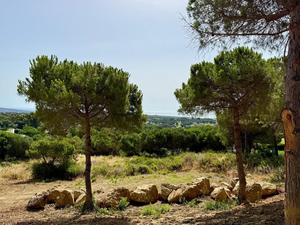 Residential Plot in Sotogrande Alto — photo 6 of 7