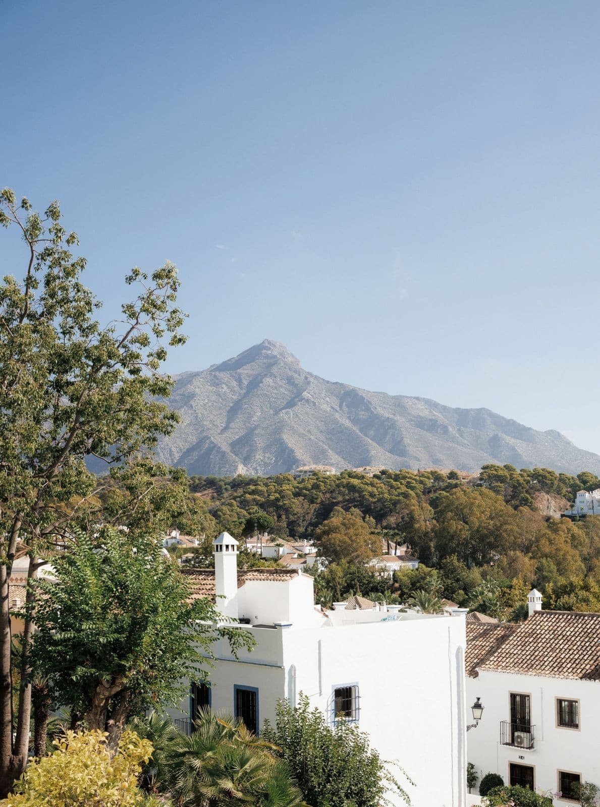 Semi-Detached House in Nueva Andalucía — photo 9 of 10