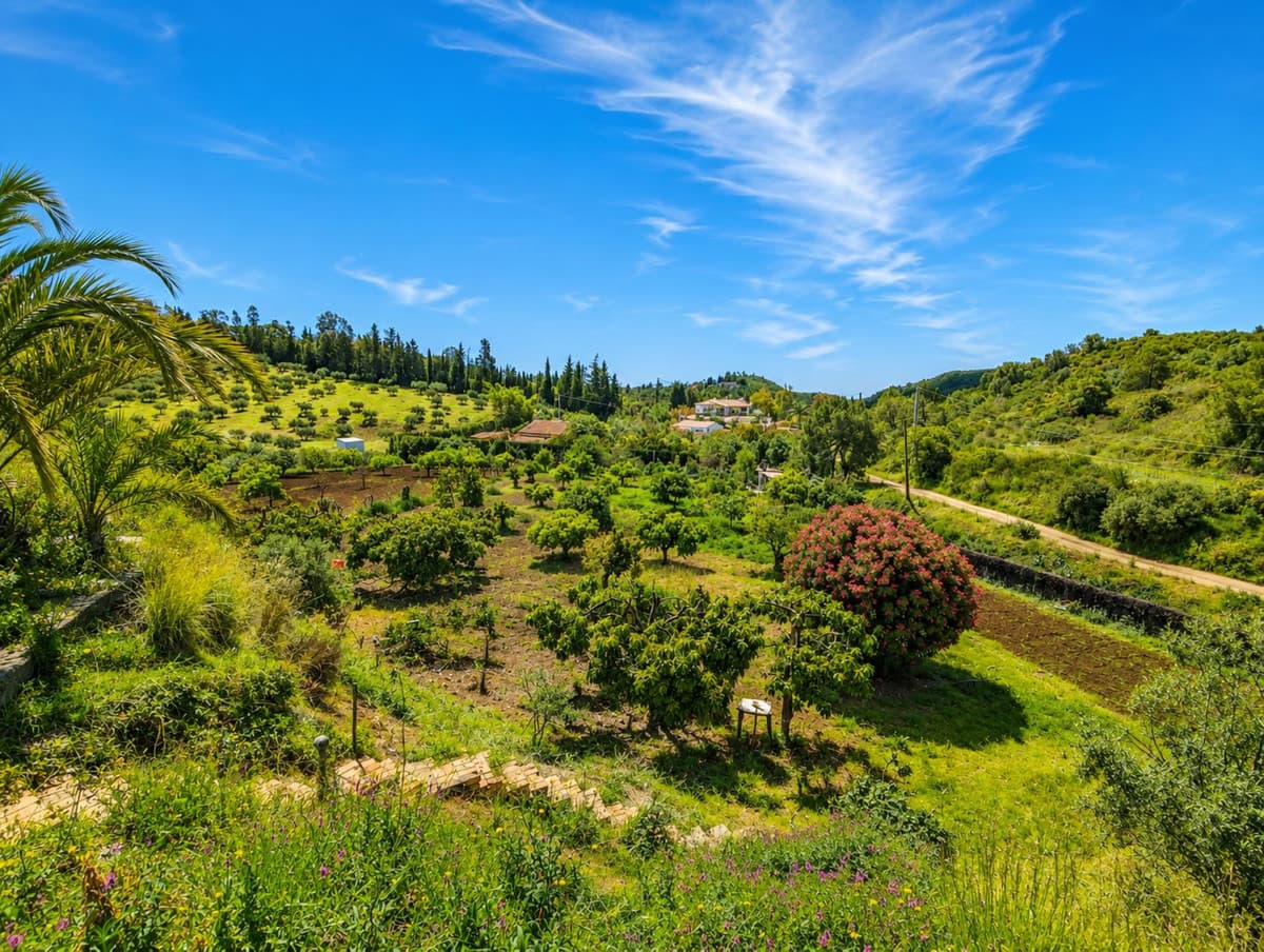 Cortijo in Estepona — photo 3 of 10