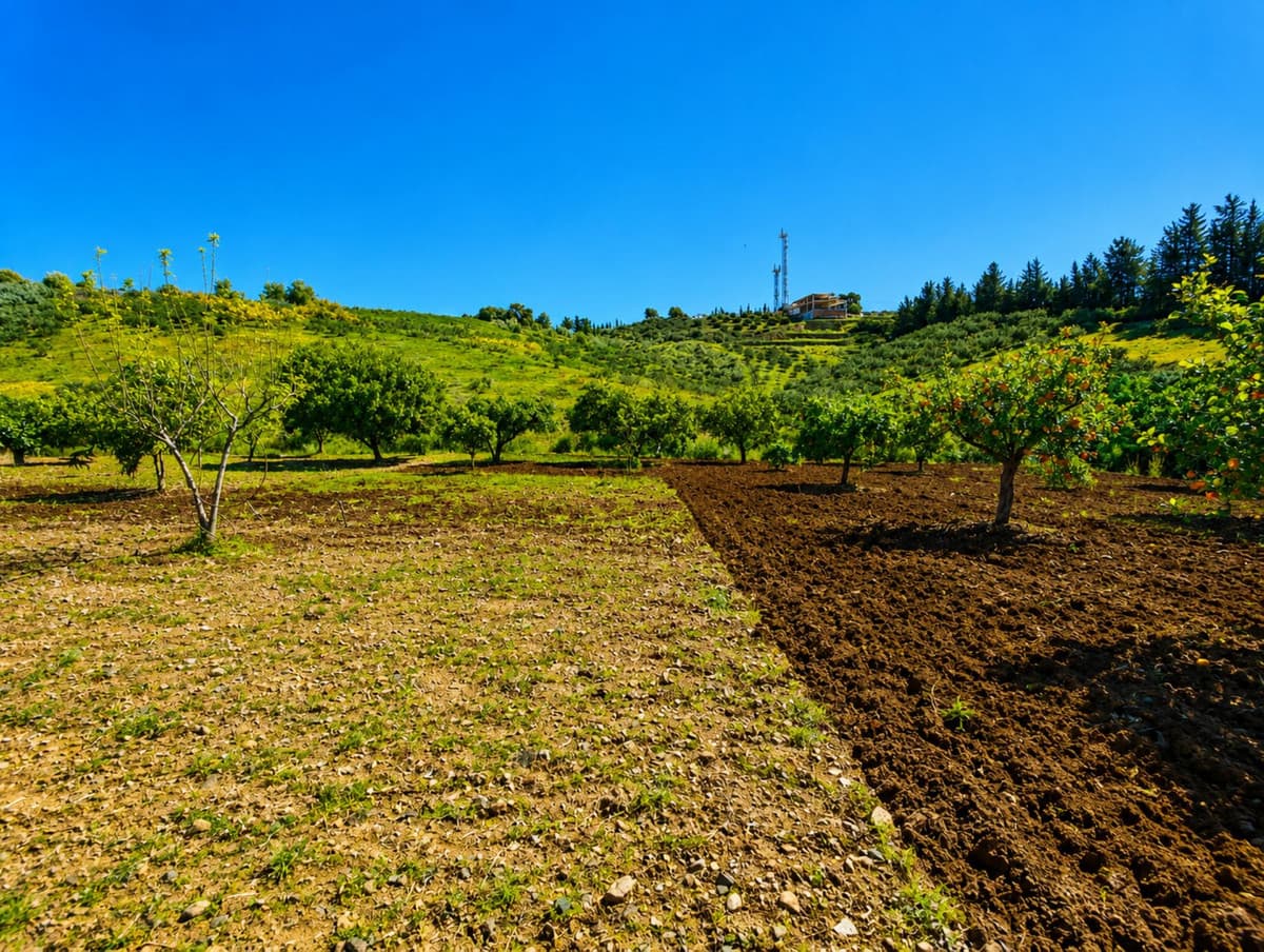 Cortijo in Estepona — photo 4 of 10