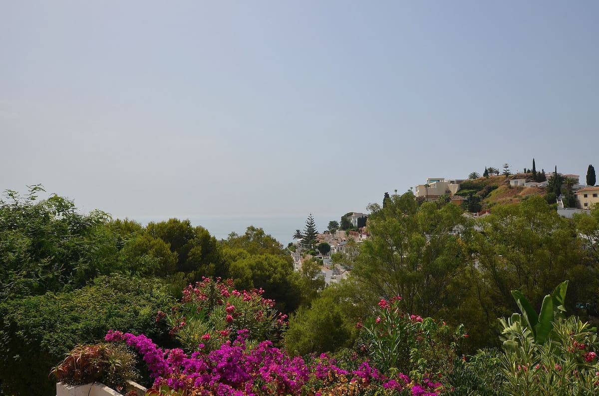 Detached Villa in Benalmadena Costa — photo 5 of 10