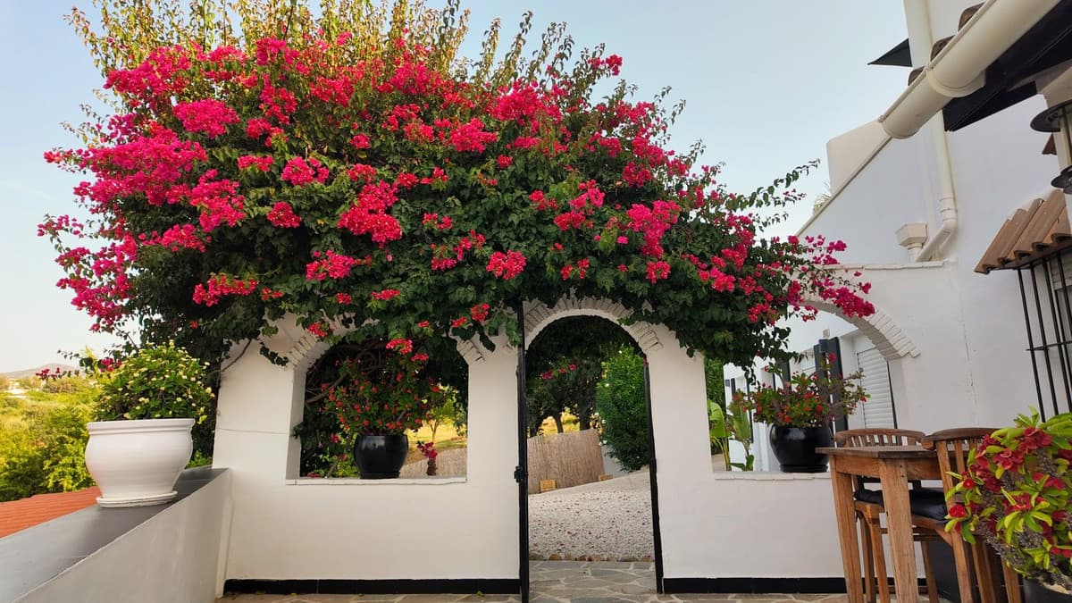 Cortijo in Alhaurín el Grande — photo 3 of 10