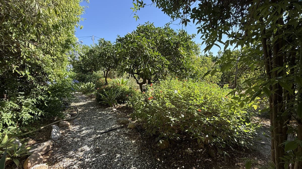 Cortijo in Alhaurín el Grande — photo 8 of 10
