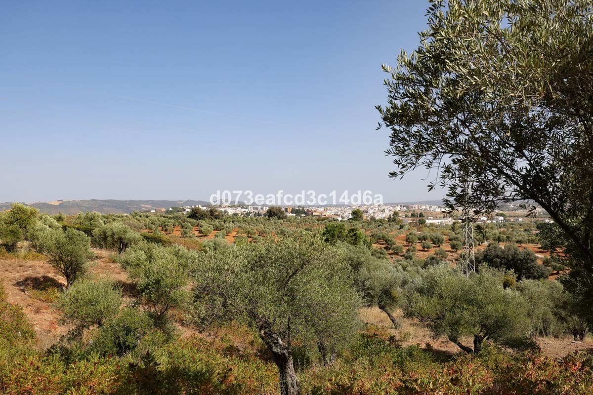 Detached Villa in Ronda — photo 4 of 10