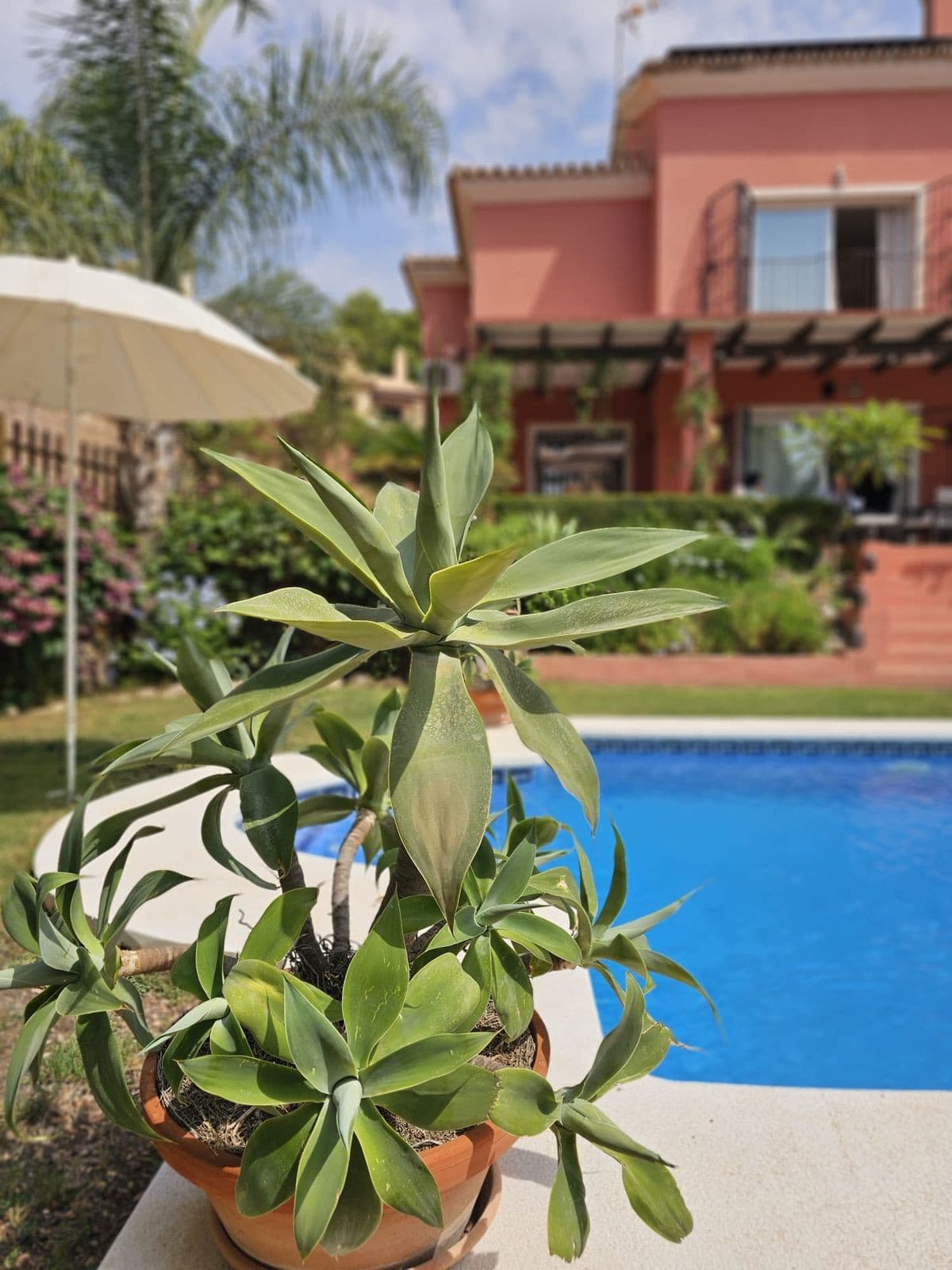 Detached Villa in Pinares de San Antón — photo 1 of 10